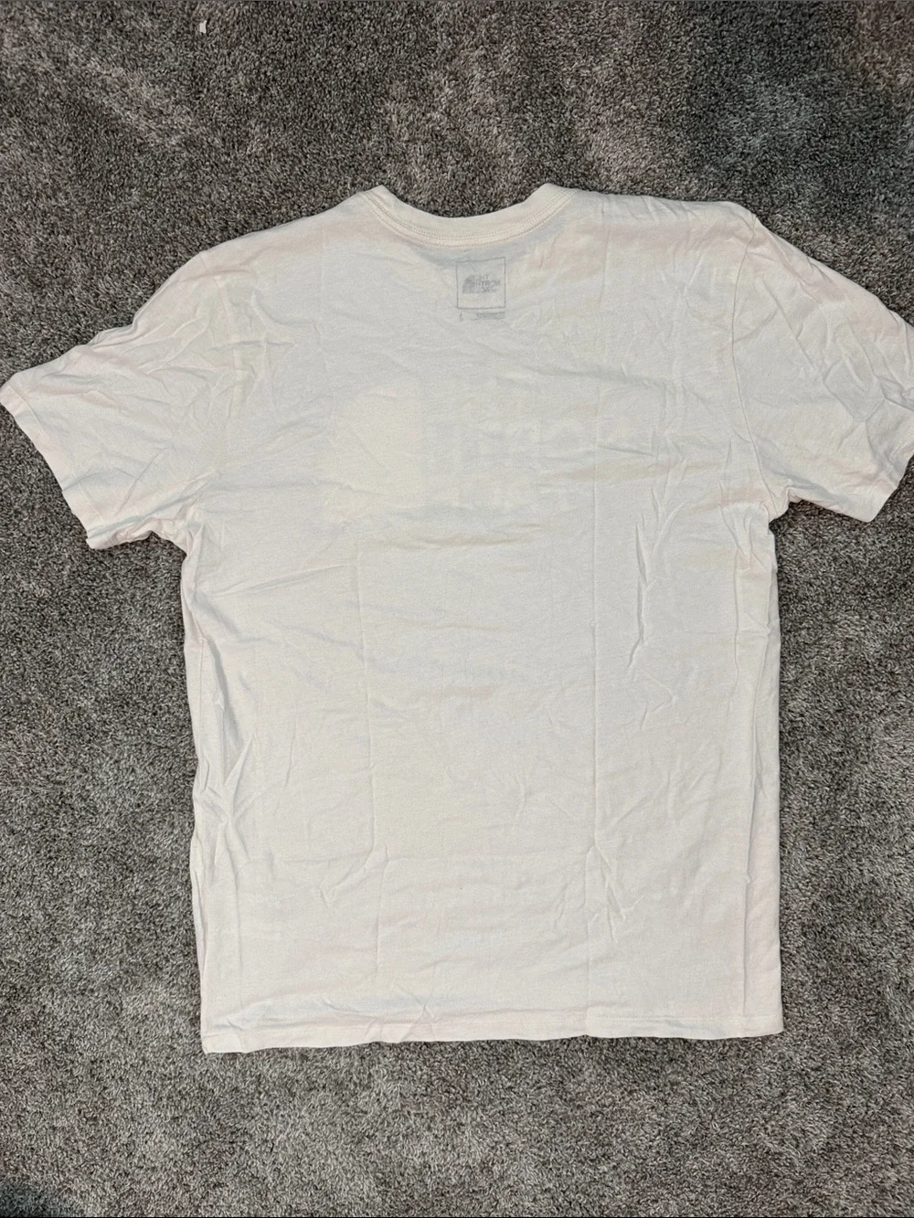 The North Face White Logo Tee with Scenic Graphic